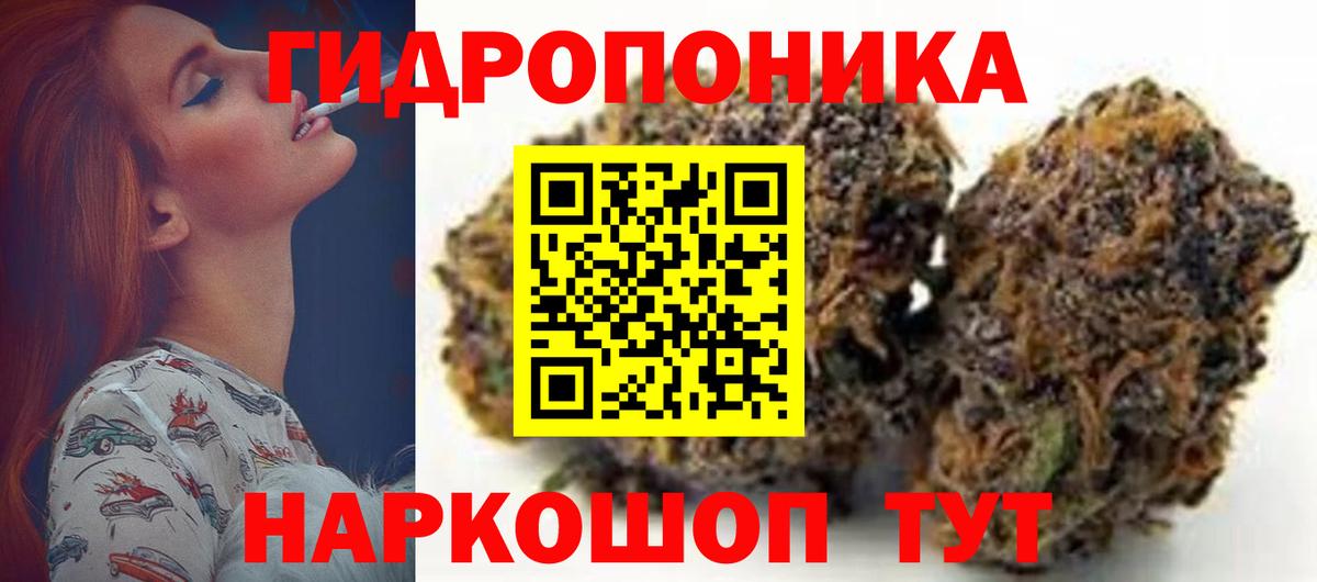 Конопля индика Уссурийск